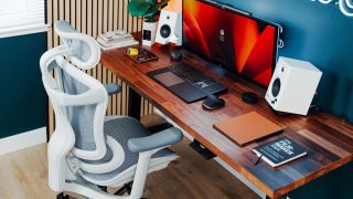 The Sihoo C300 in situ