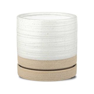 6-inch ceramic plant pot and saucer in neutral colors on white background