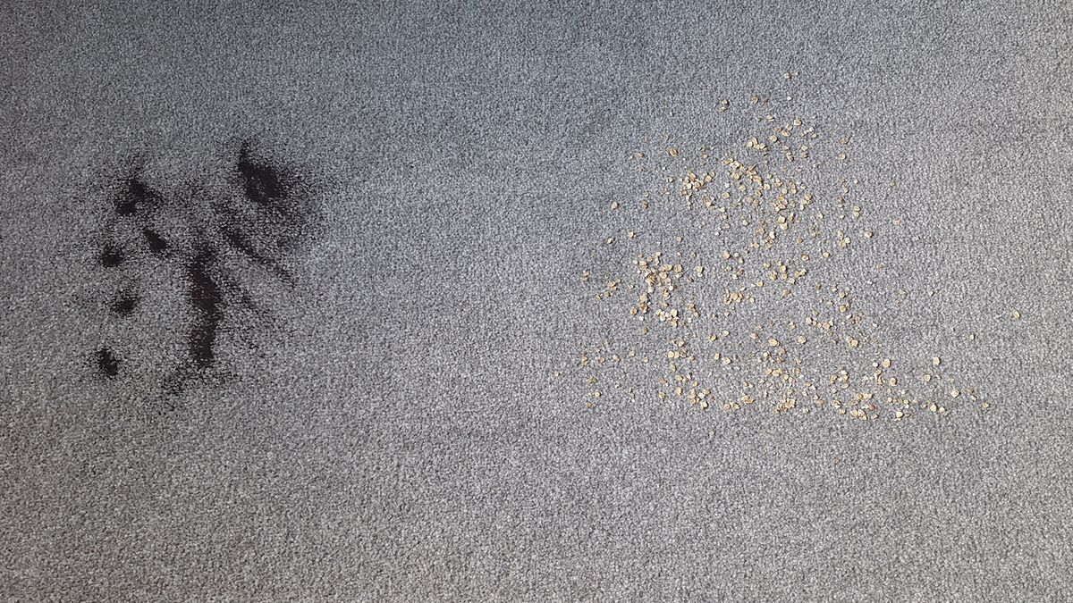 Oats and loose tea on the carpet before the suction test