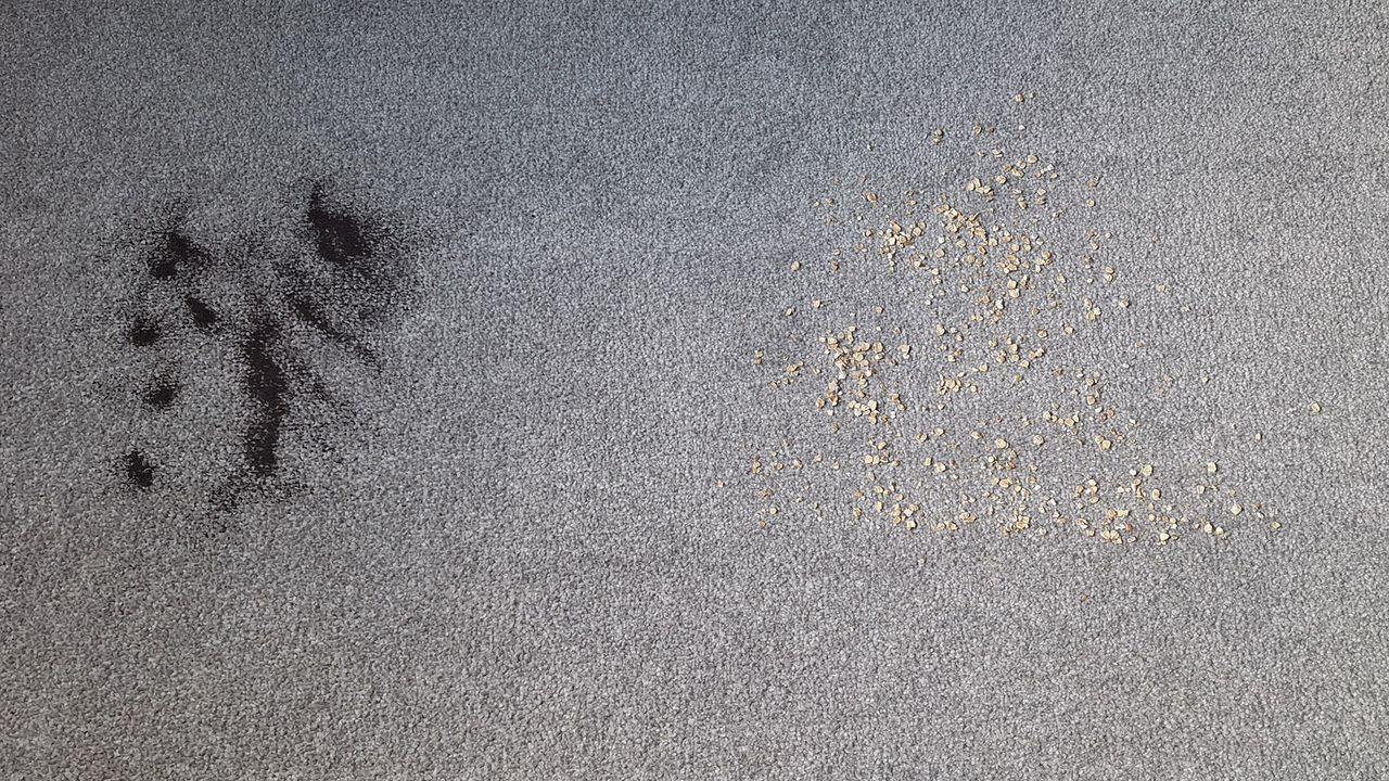 Oats and loose tea on the carpet before the suction test