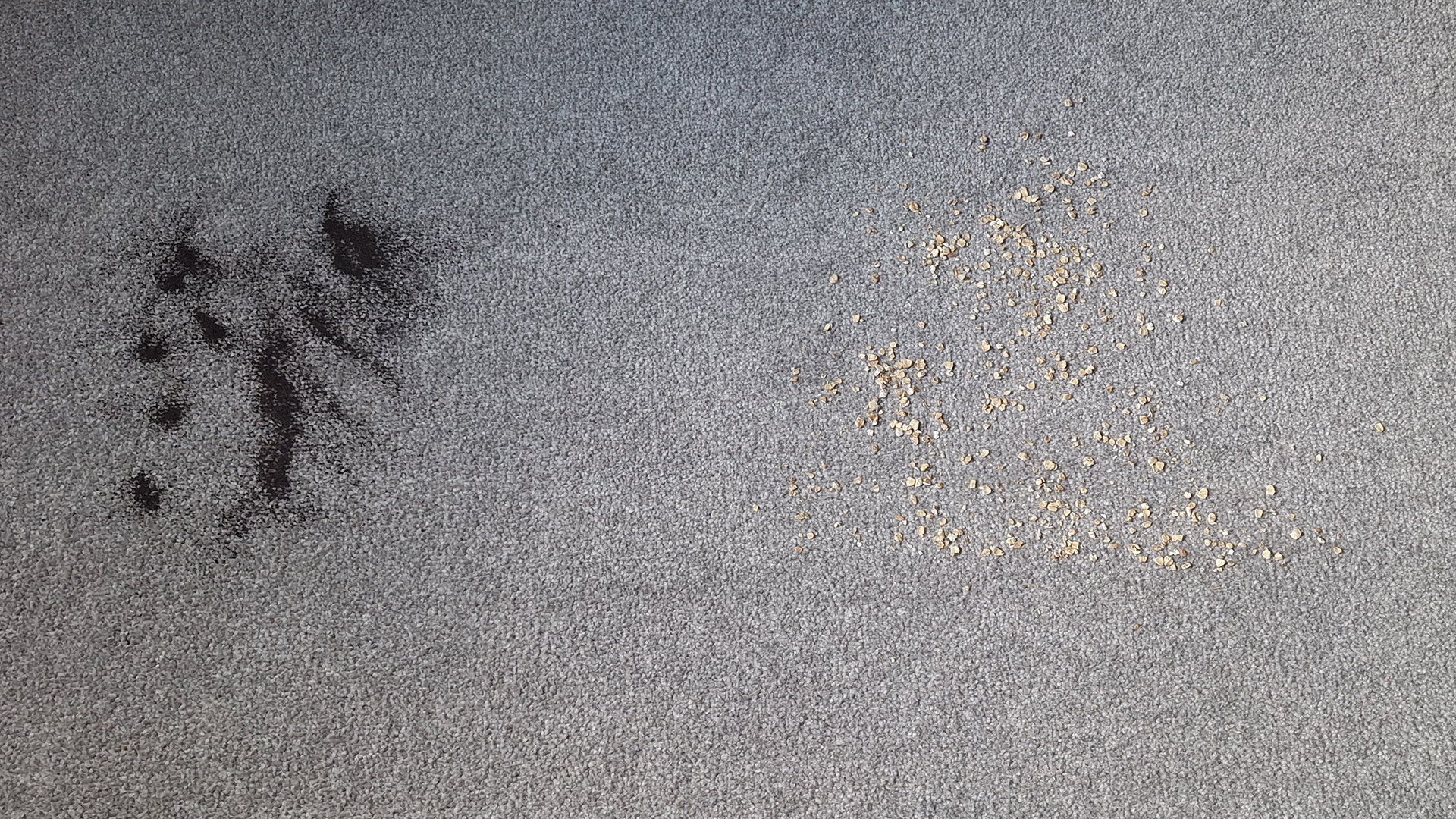 Oats and loose tea on the carpet before the suction test