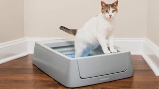 Petsafe ScoopFree Smart Self-Cleaning Litterbox review