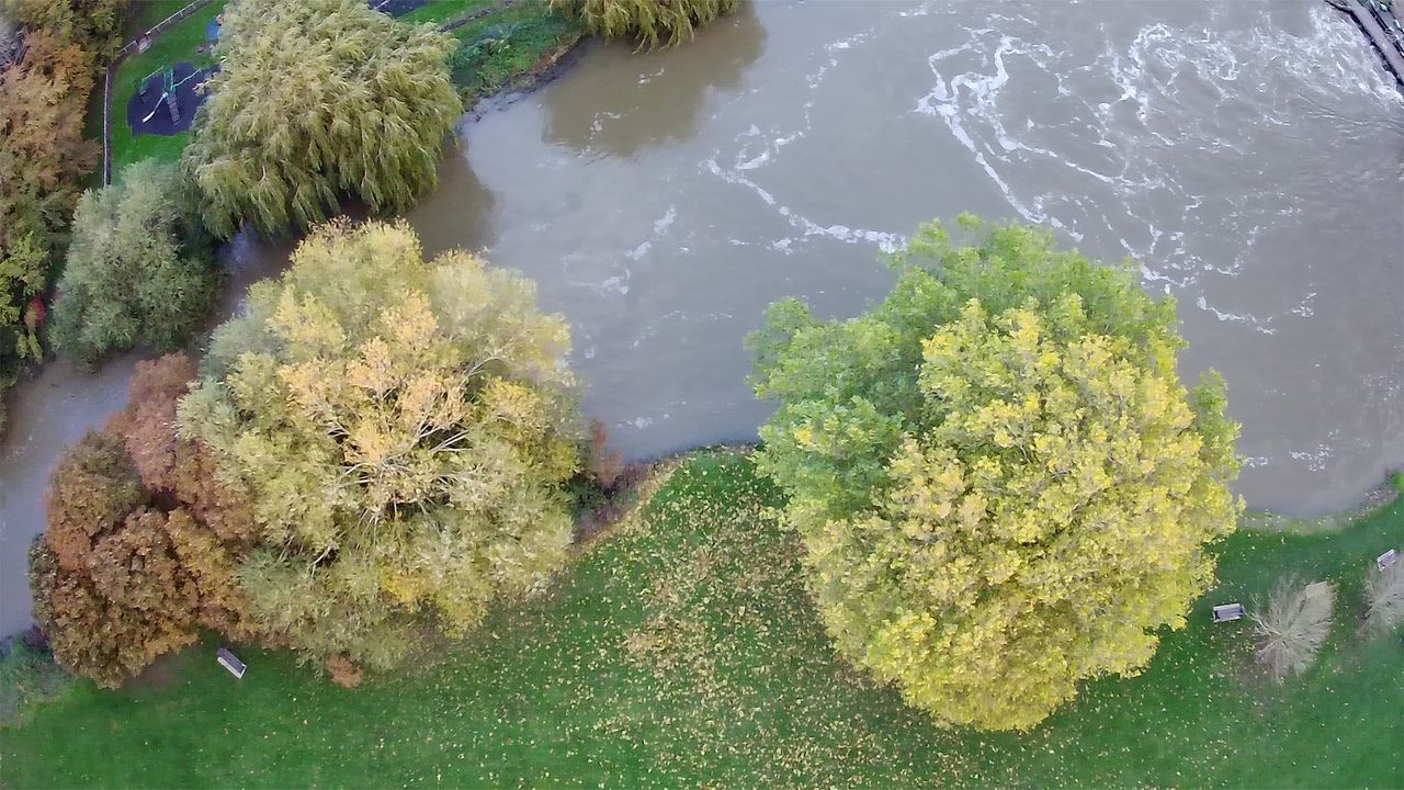 Example photo taken with the Veeniix V11