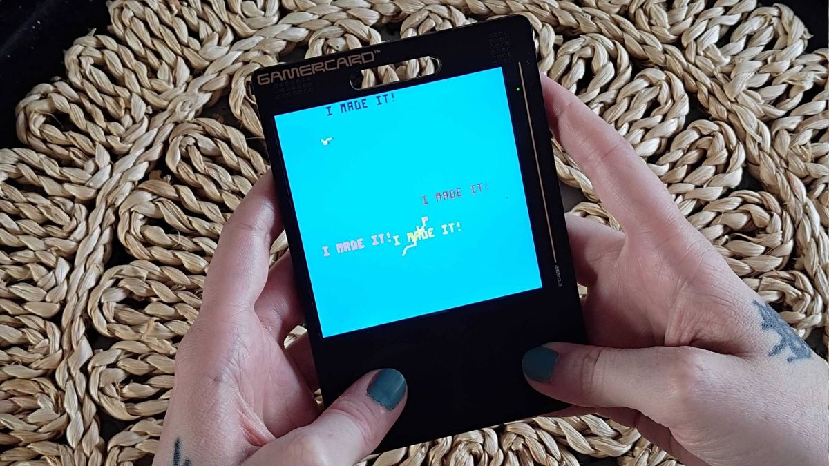 Hands using Gamercard to play PICO-8 "We fed seagulls last week" game.