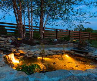 garden pond with lights, and a perimeter fence and trees in the background