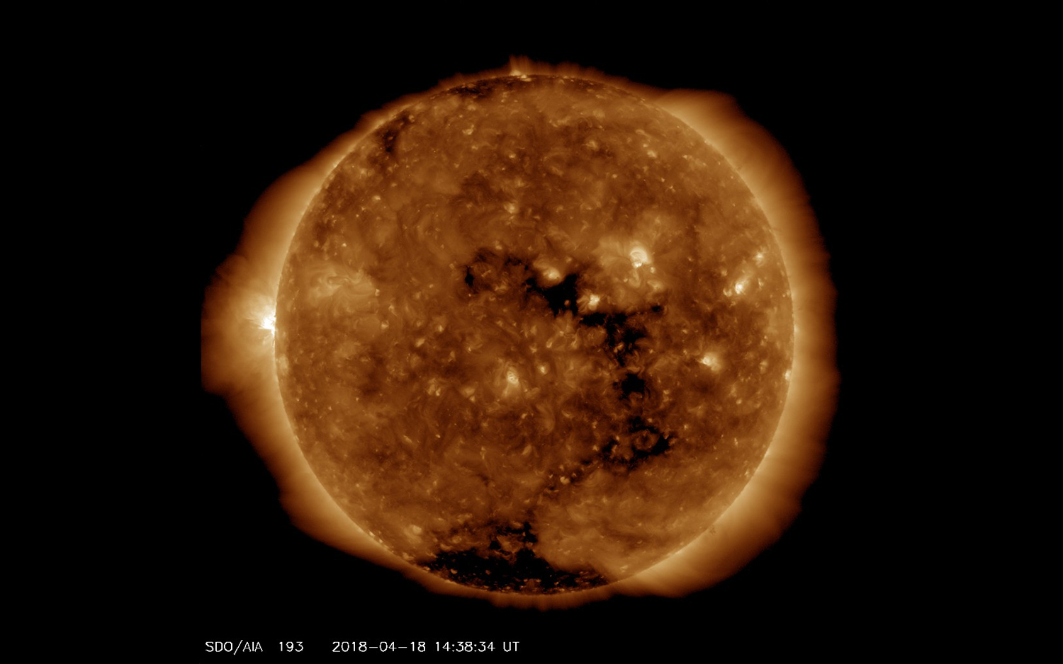 star survey reveals stellar dna