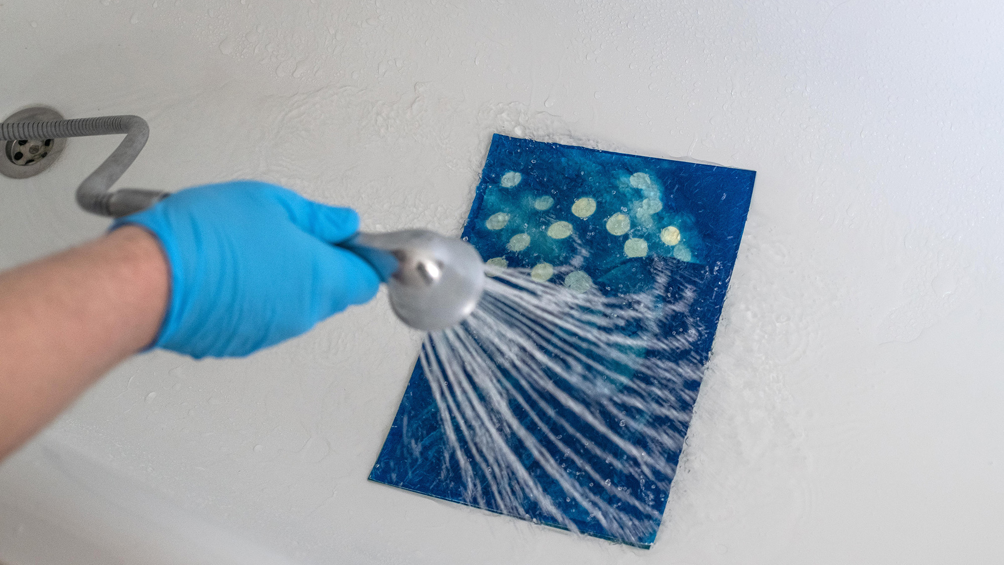Hand holding shower head used to wash cyanotype print