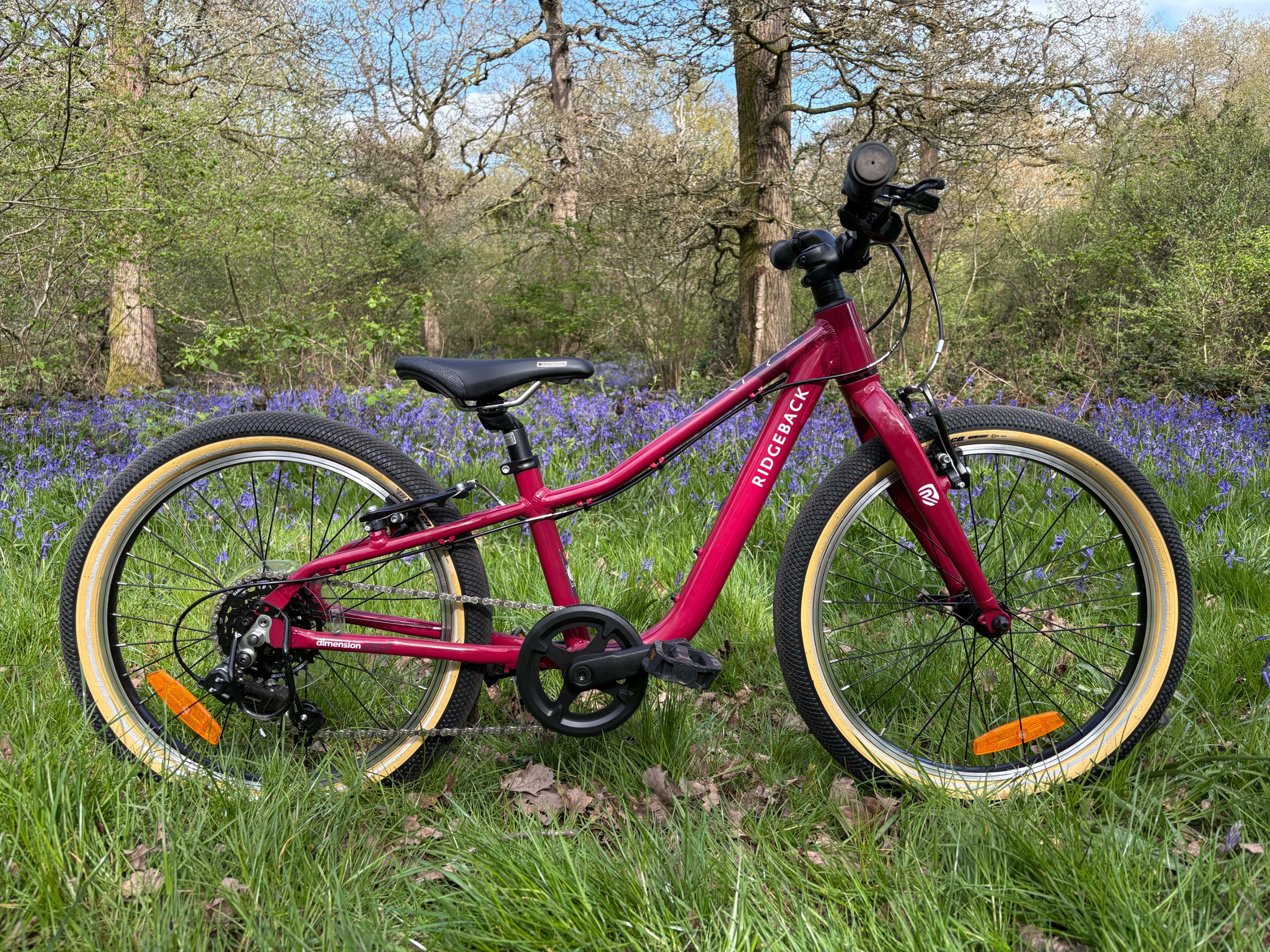 Ridgeback Dimension 20 children's bike