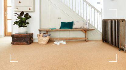 sisal carpet in hallway with bench: to show an area where you'd question how often should carpet be replaced?