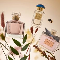 Floral perfumes: Guerlain Mon Guerlain, Aerin Mediterranean Honeysuckle, Dior Miss Dior shot on foliage with a buzzing bee