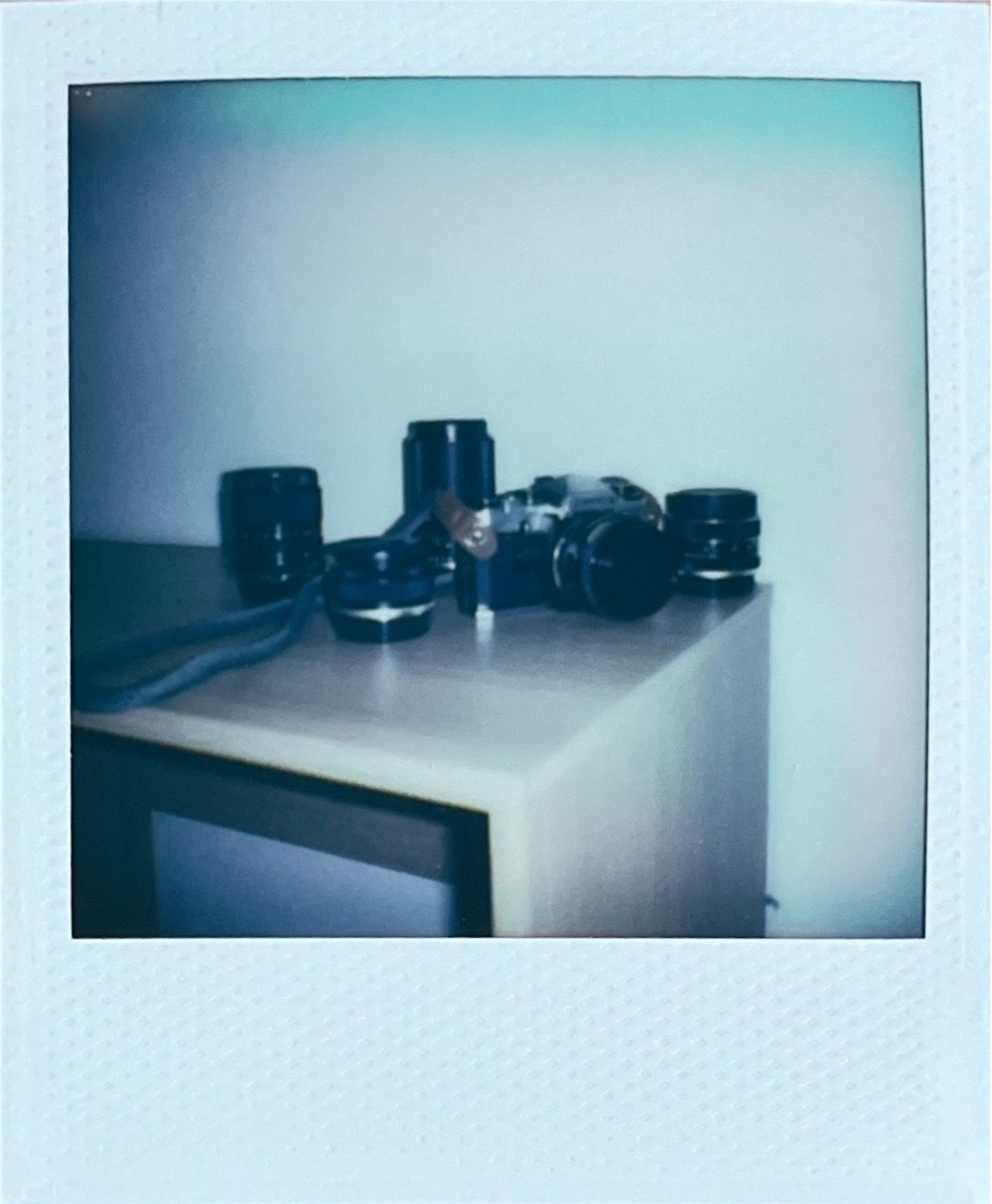 Images captured on the Polaroid Go (Gen 2) by T3's Sam Cross, and scanned using the Polaroid app