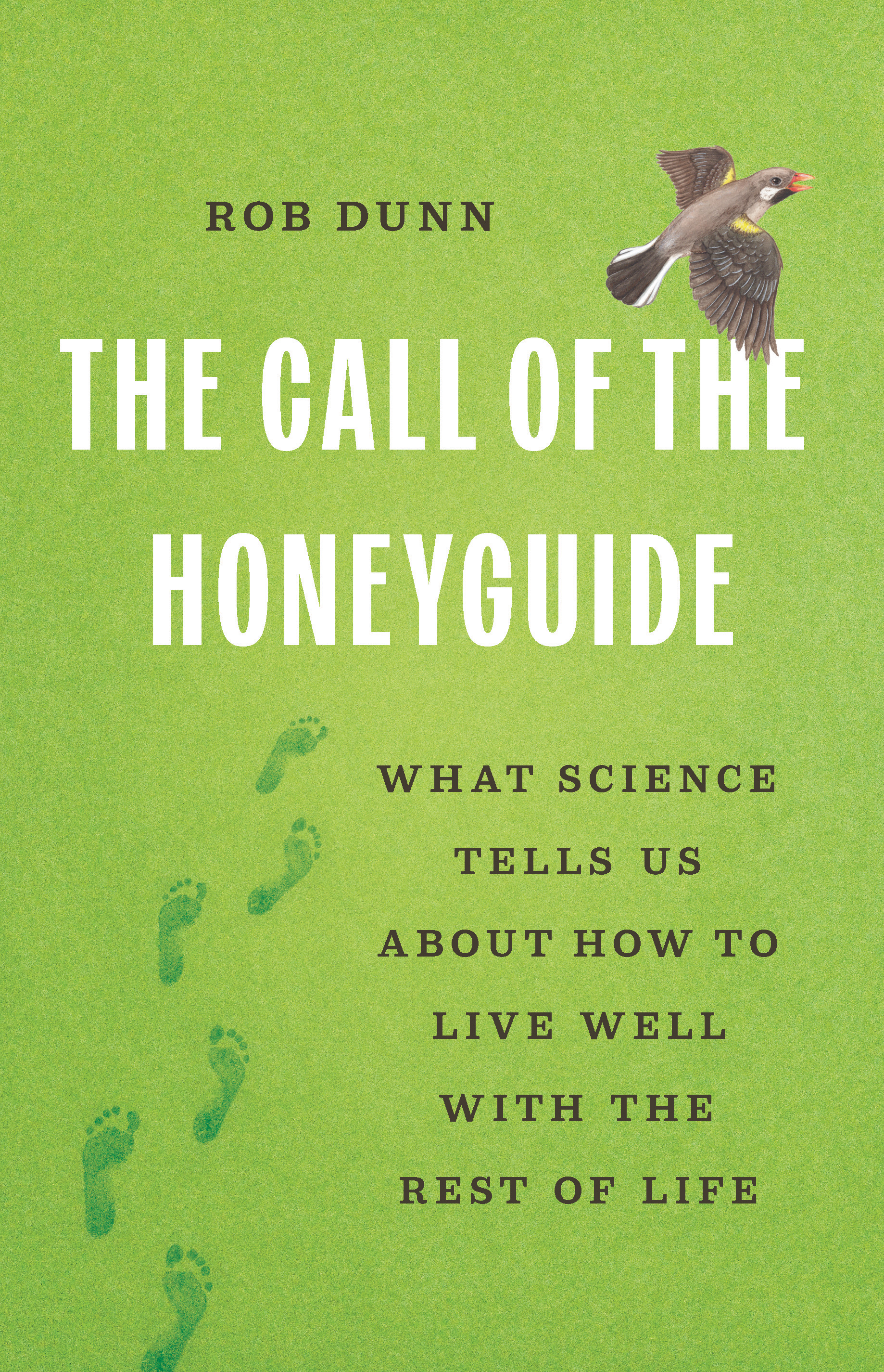 The Call of the Honeyguide book cover