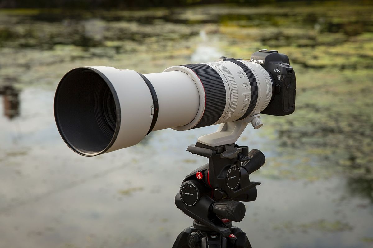 Best Canon RF lenses in 2024 Digital Camera World