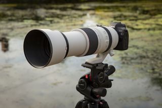 The Canon RF 100-500mm f/4.5-7.1L IS USM, one of the best Canon RF lenses, mounted on a tripod with the Canon EOS R5