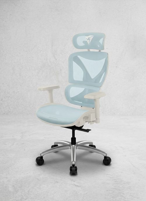 XTC | White and blue mesh