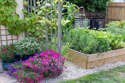 A small backyard with a vegetable patch and flowers in pots