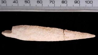 This arrowhead is made out of cattle bone and was found in the remains of an ancient street in the lower city of Gath in what is now Israel.
