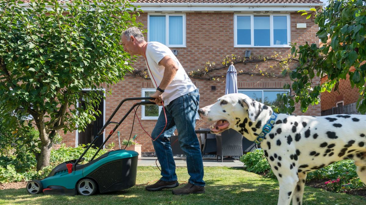 Picture of 32 everyday fears and phobias in dogs | PetsRadar