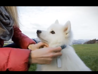 Pet-Remote is a prototype device from Austrian company Tractive that vibrates or emits noise to help dog owners control their pets from afar.