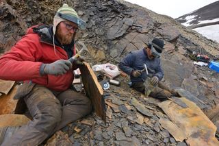 Study co-lead researcher Jakob Vinther (left) and study co-researcher Arne Nielsen (right), an associate professor of geology at the University of Copenhagen, look for Kerygmachela kierkegaardi fossils in North Greenland.