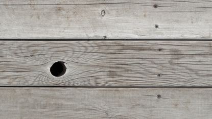 A bolt hole in a wooden floor.