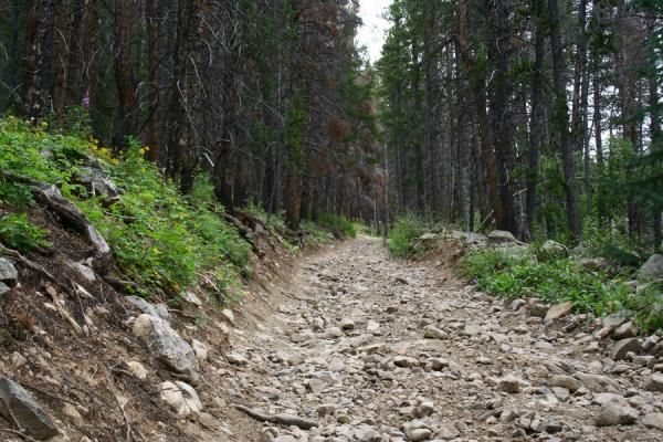 'Rich Gulch' caused mayhem for riders.