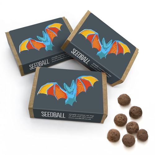 Seedball Bat Mix Wildflower Seed Bombs (pack of 3, 6 Seed Balls Per Box) | British Wildflower Seed Mix for Attracting Bats to Your Garden | Eco Friendly Stocking Filler &amp;amp; Gardening Gifts for Women