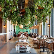 Treehouse Hotel review: Madera restaurant