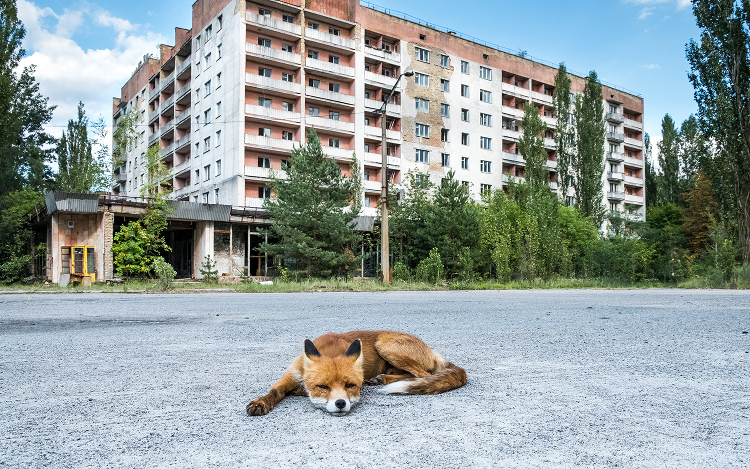 Is It Safe to Visit Chernobyl? | Live Science