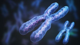 Medical illustration of an X-chromosome in blue in the foreground with another X chromosome behind against a blurred background