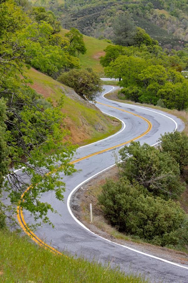 The road snakes its way up Mt. Hamilton at a steady 8-9% grade for most of the 4 miles.