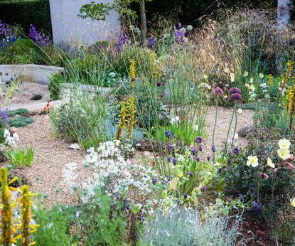 Drought-tolerant landscaping ideas: 8 sustainable solutions Homes and
