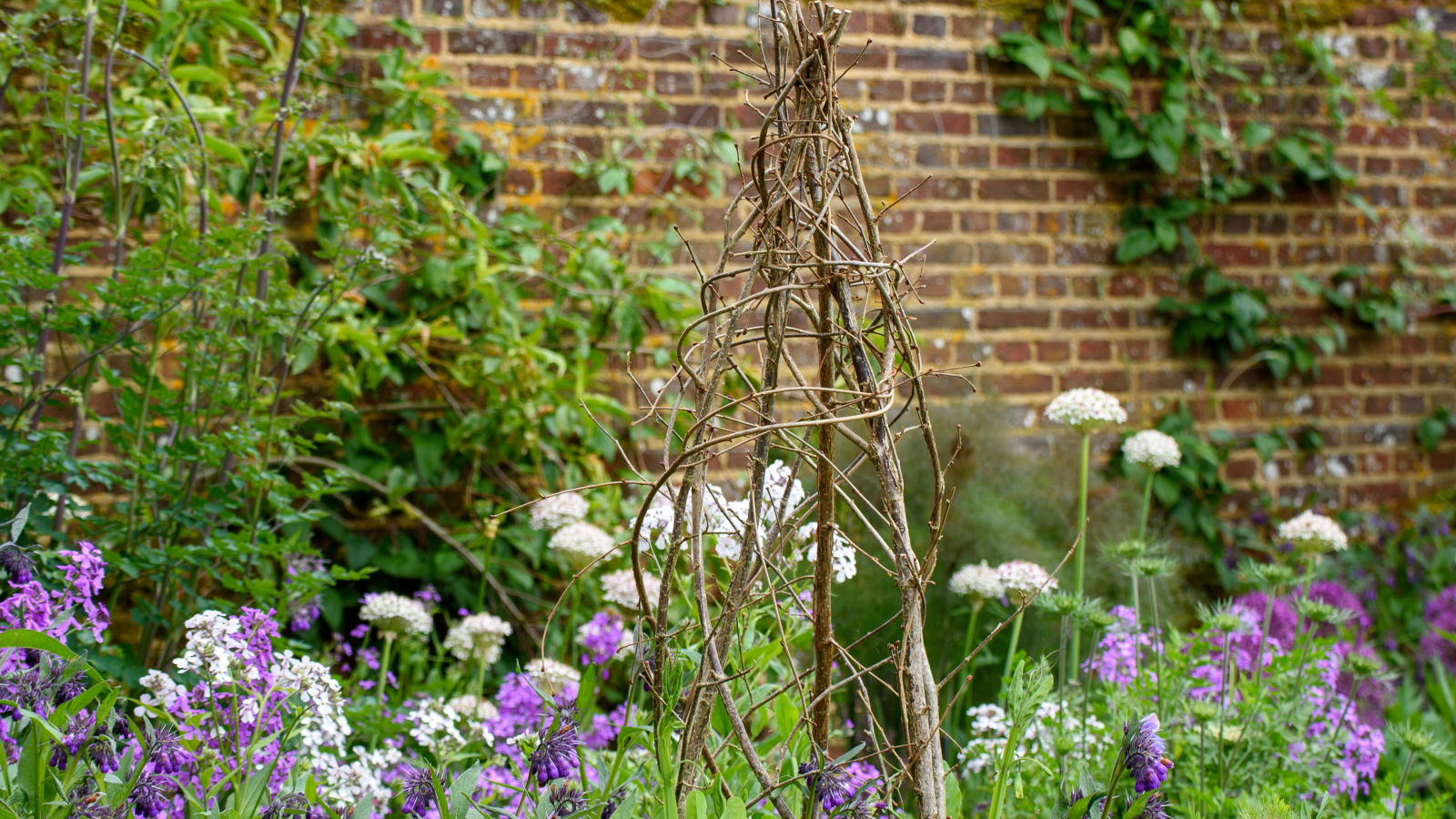 A hazel wigwam plant support is in place for flowers in a flower bed