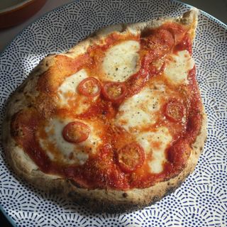Homemade cheese and tomato pizza on a blue and white plate