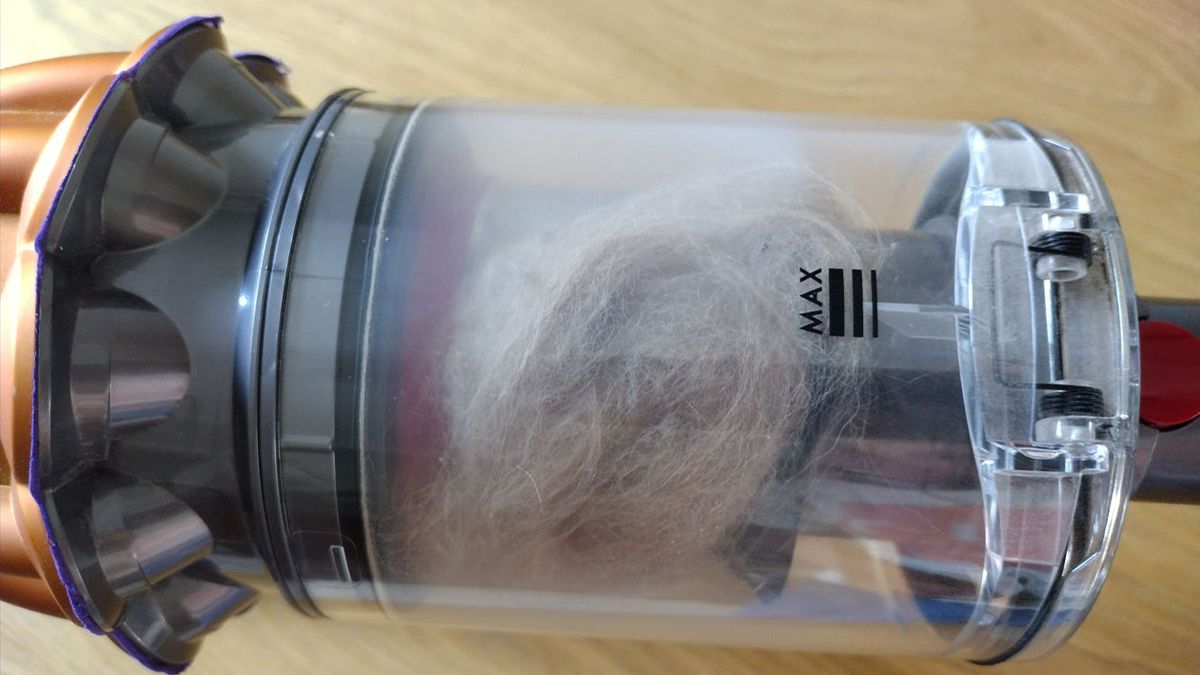 Dyson Pet Groom Tool being tested in writer's home