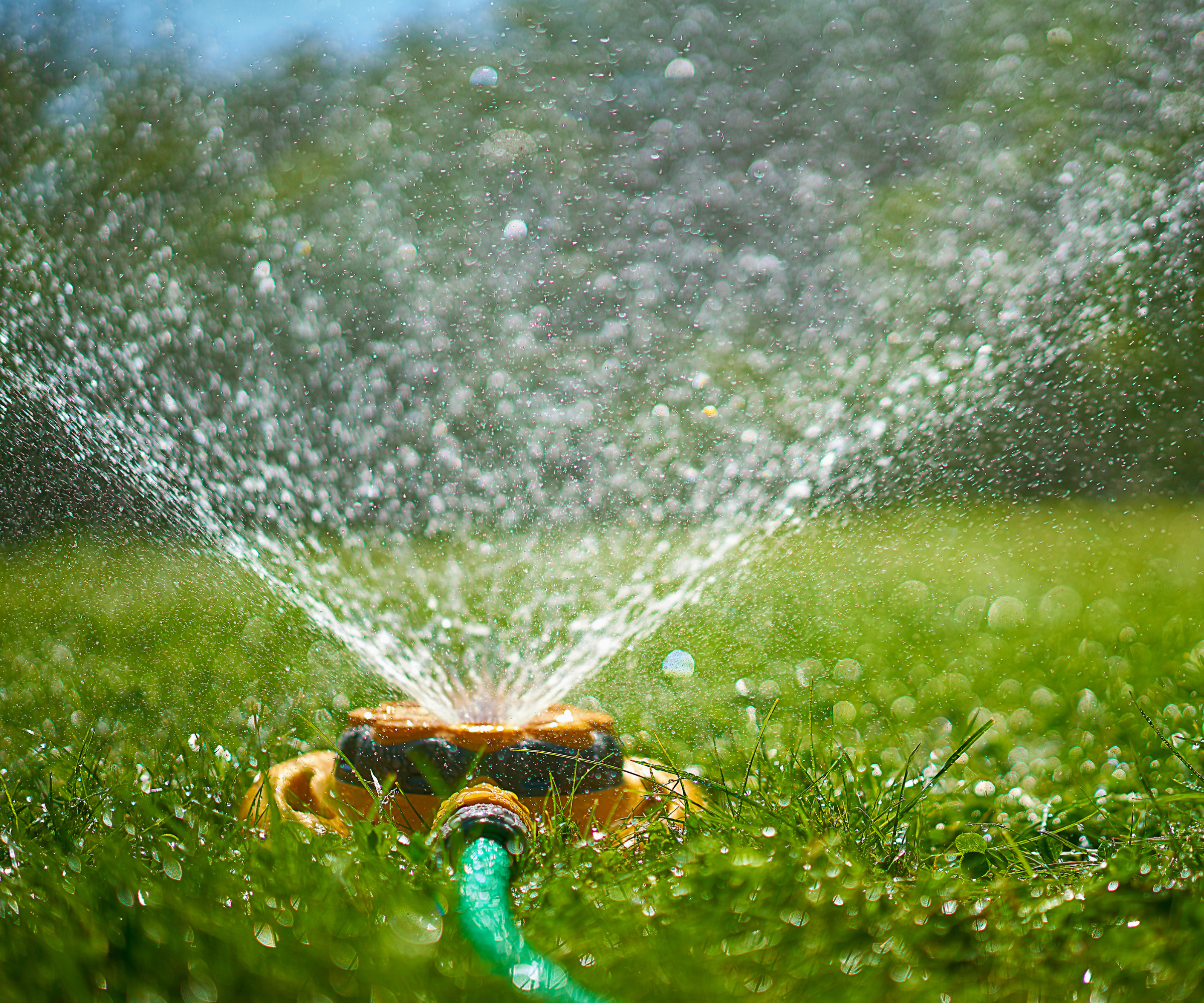 sprinkler on grass