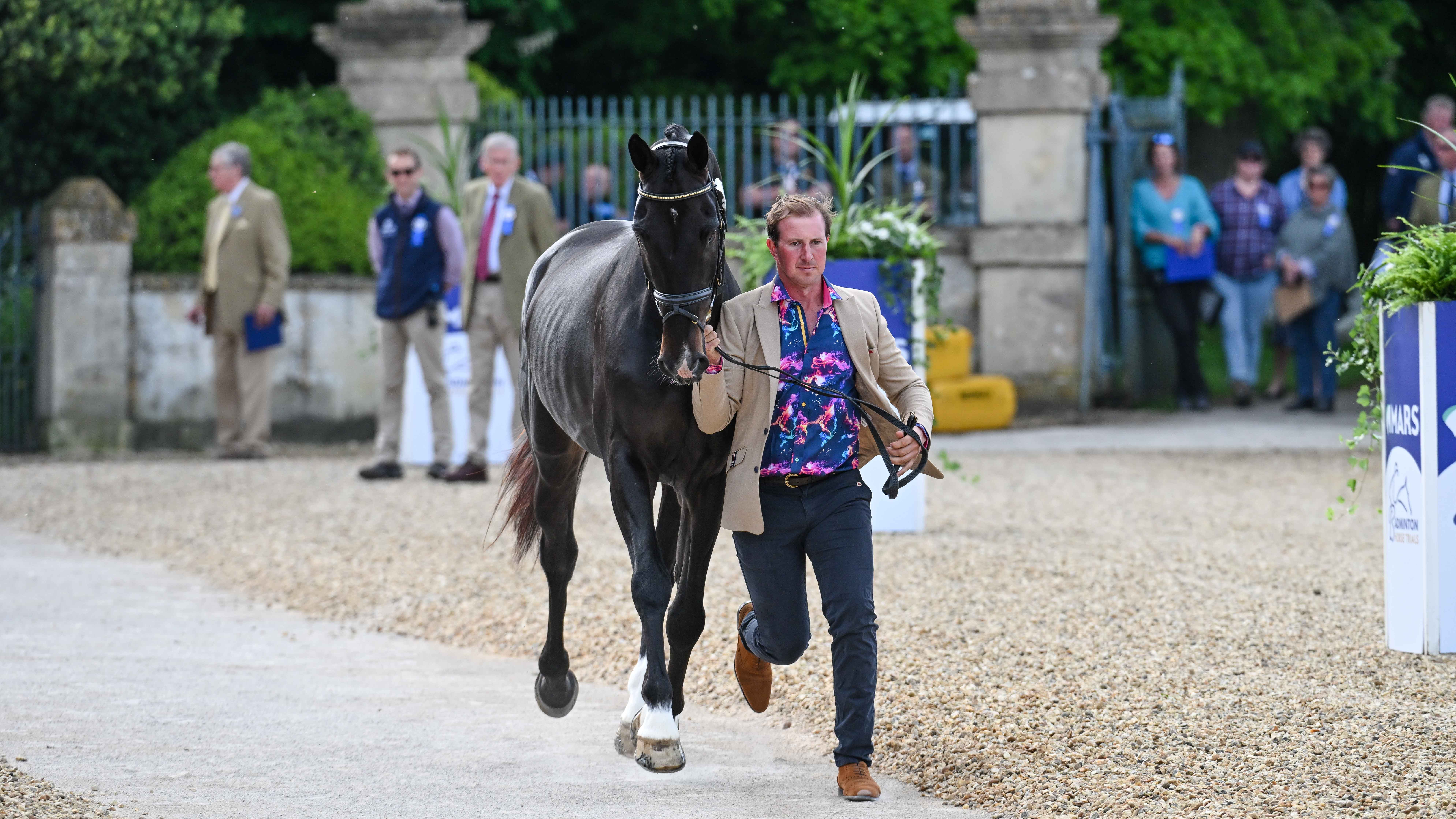 Badminton Horse Trials withdrawals: David Doel and Galileo Nieuwmoed in the first horse inspection of the 2024 Mars Badminton Horse Trials