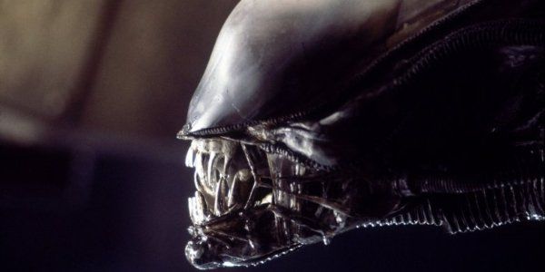 How to Watch Every 'Alien' Movie In Order- Chronological or Release Order