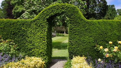 An English Landscape Garden in early Summer with flowerbeds and an Arch through a Hedgerow
