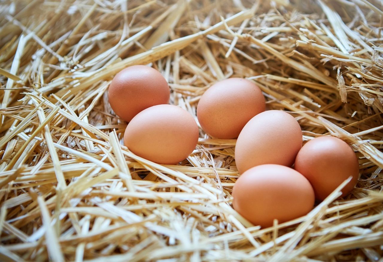 Eggs in straw