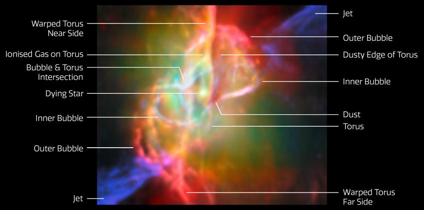 A labeled image of the Butterfly nebula, showing the torus, inner and outer bubbles, and dust.