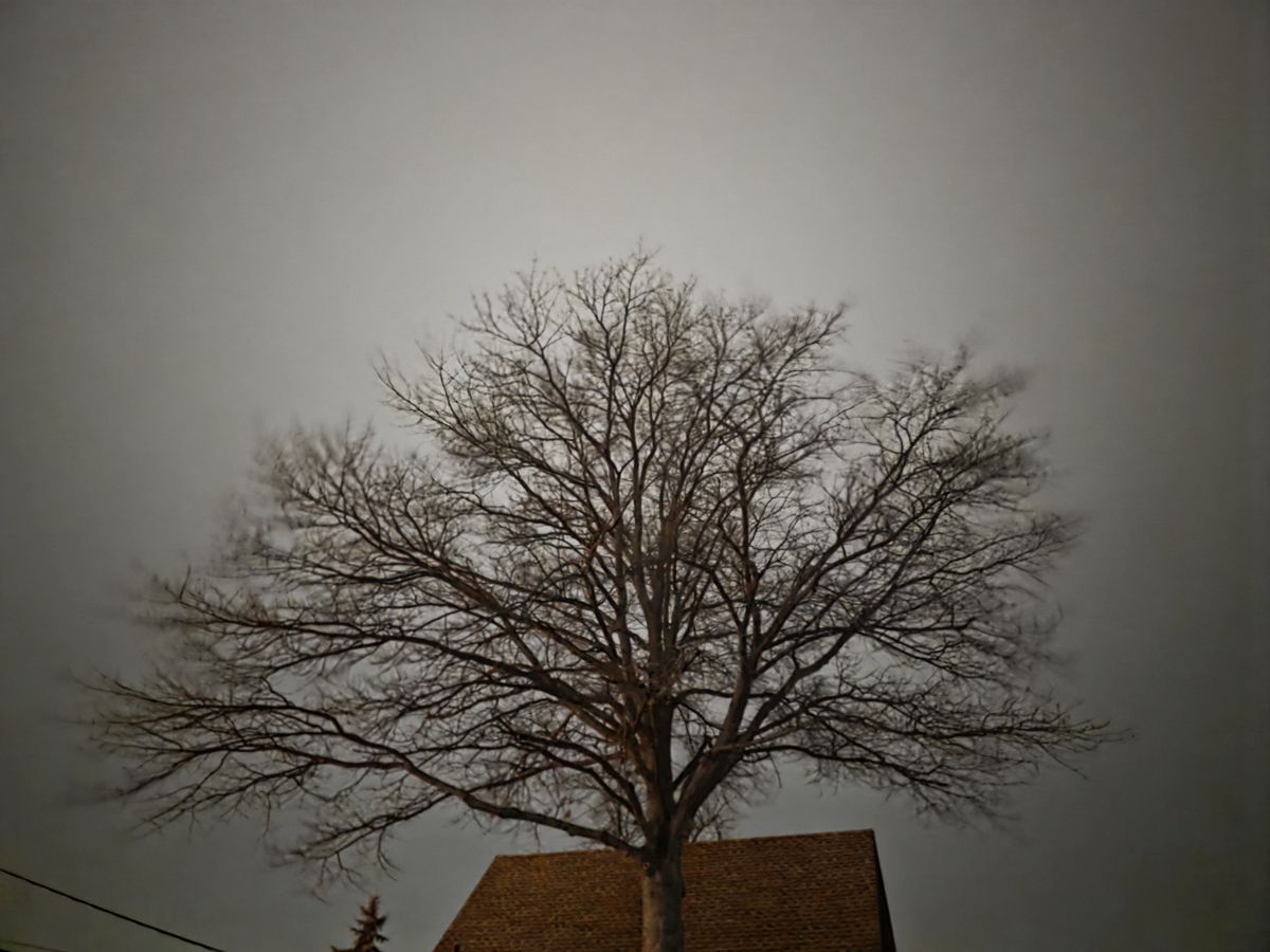 Samsung Galaxy S25 Ultra low light sample.