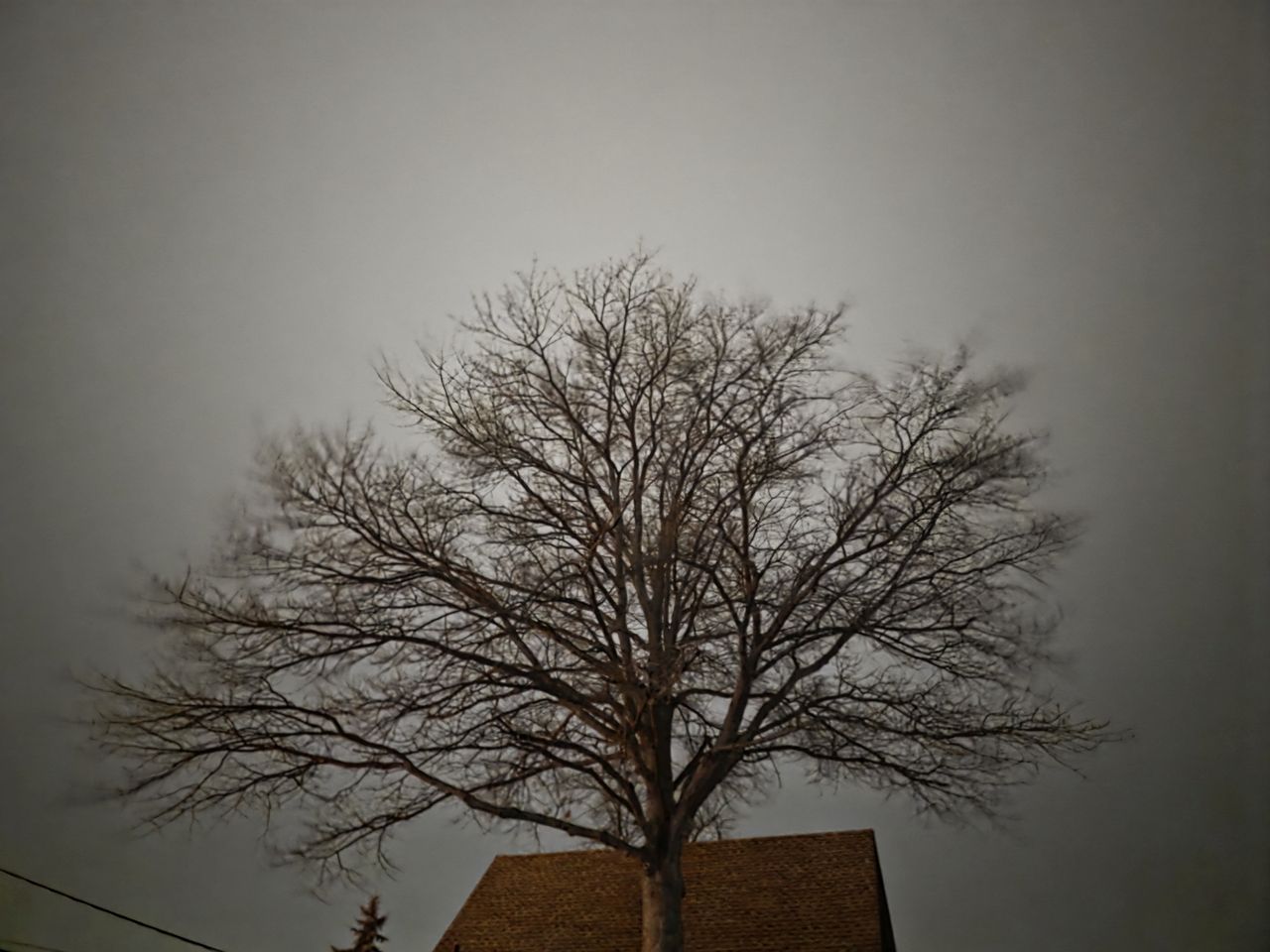 Samsung Galaxy S25 Ultra low light sample.