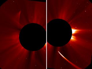 Another view from SOHO's C2 chronograph shows Comet ISON appearing bright as it streams toward the sun (right). it can be seen as a dim streak heading upward and out in the left image. The comet may still be intact. Image released Nov. 29, 2013.