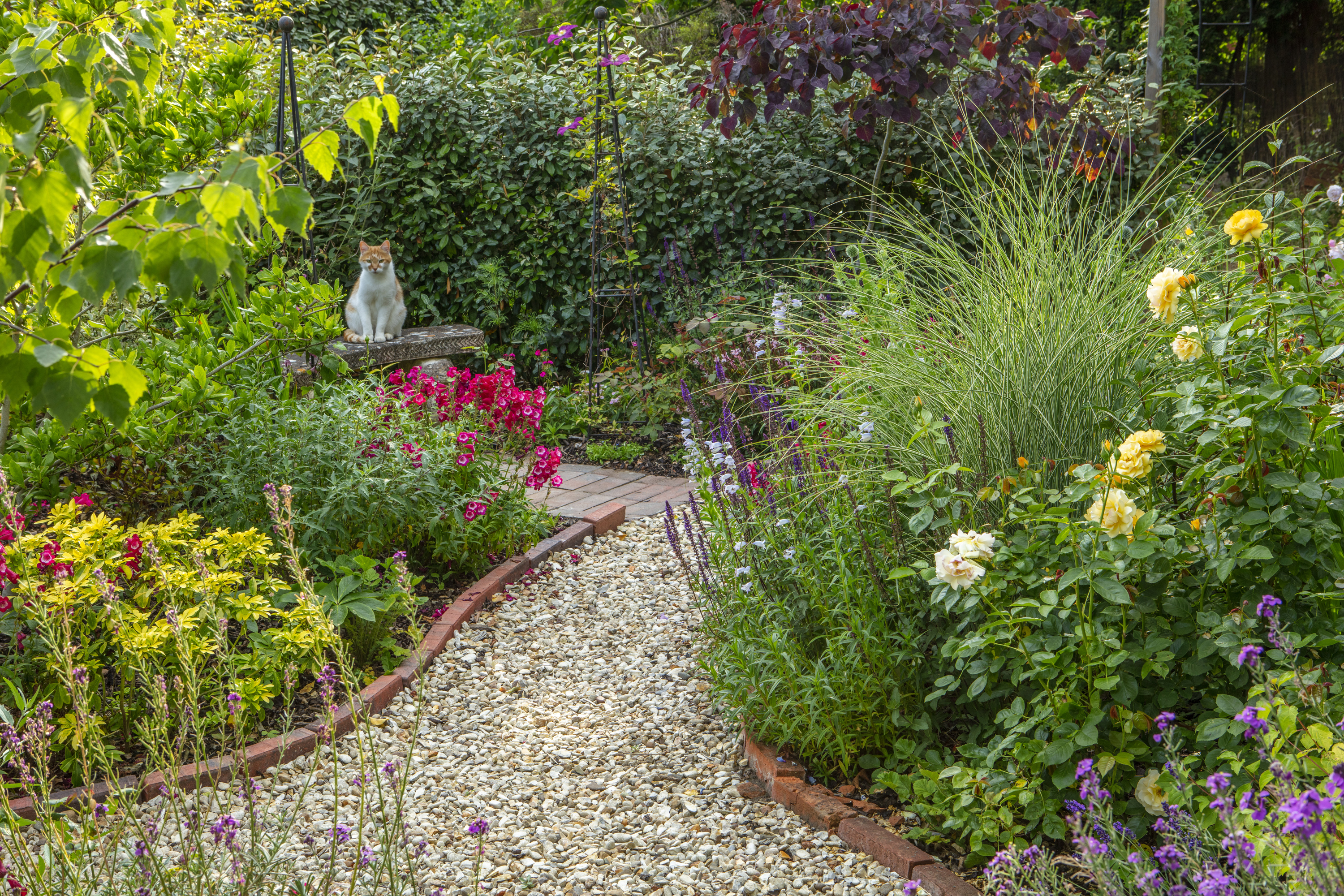 cat sitting on a stone bench at end of gravel path in a cottage garden