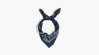 Paisley Bandana