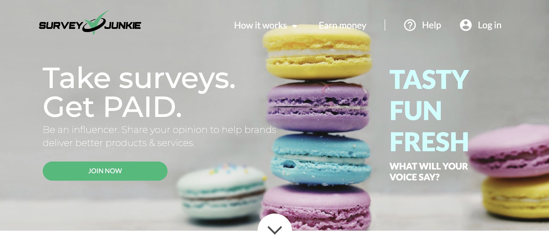 An image of the Survey Junkie homepage