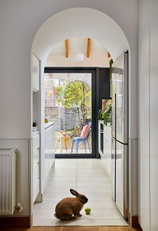 Portnoy Kitchen - Replacing a badly-built extension gave Ellie and Nick the chance to create a bespoke space for family and floppy-eared pets