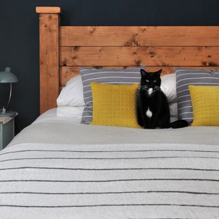 bedroom with black cat