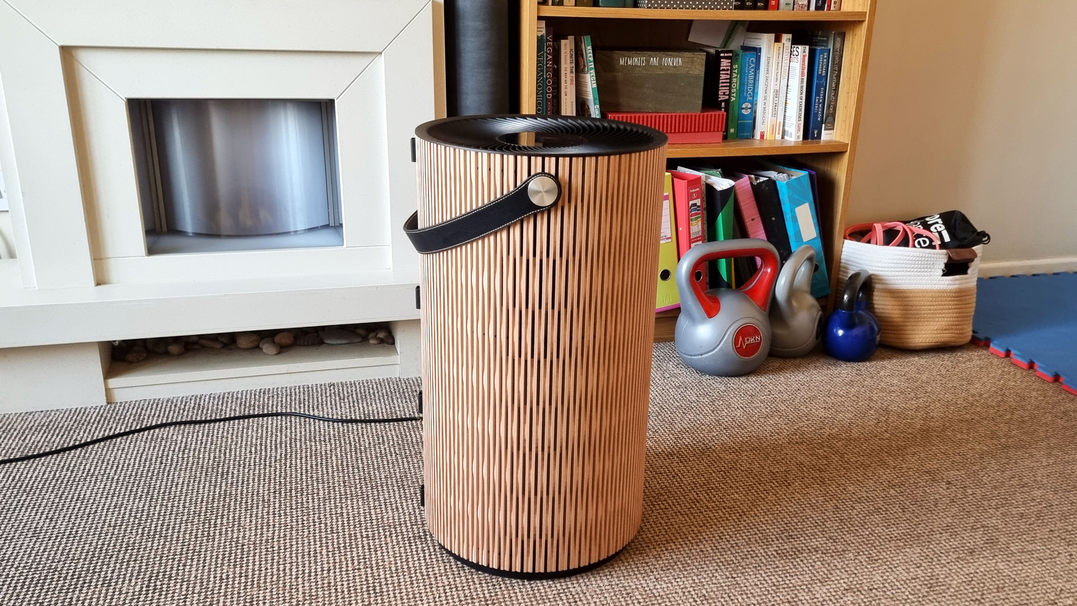A picture of our reviewer's IQAir Atem Earth air purifier standing in the middle of a living room
